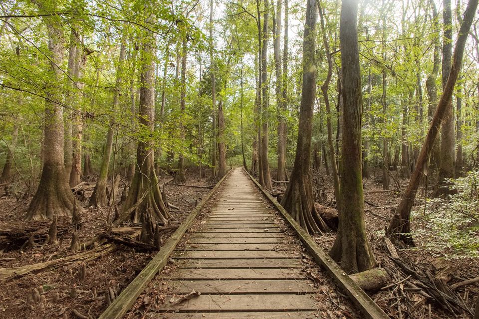 dog-friendly-national-parks-grid-Yv1JXBAAACQAF9f7.png