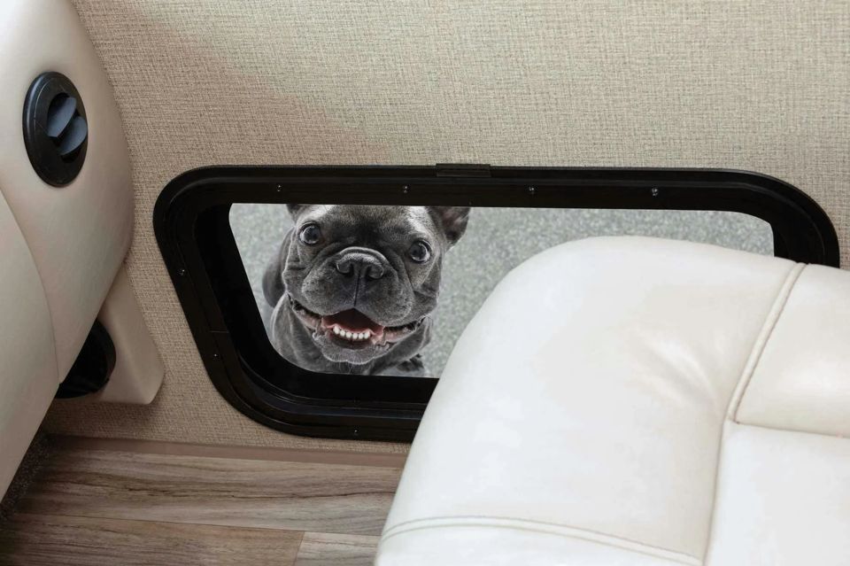 dog-friendly-national-parks-grid-YeIM3BEAAB8Ai2DH.jpg