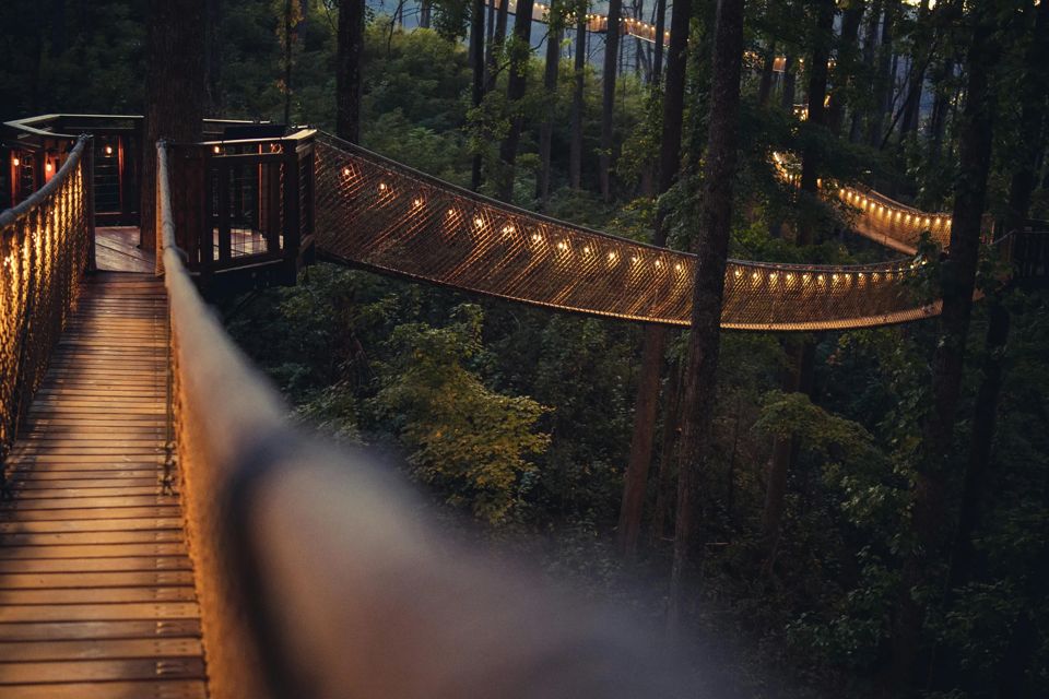 great-smoky-mountains-national-park-grid-aXEmHgIvOtkhByWA.jpeg