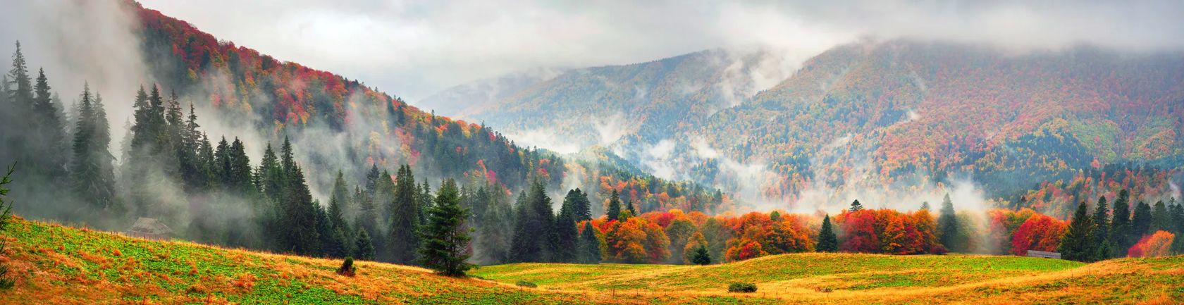 Air Morning mist at sunrise over the alpine forests and meadows of the Carpathians fall is very beautiful after the rain. Picturesque and paint colors of autumn foliage in the wild in Ukraine