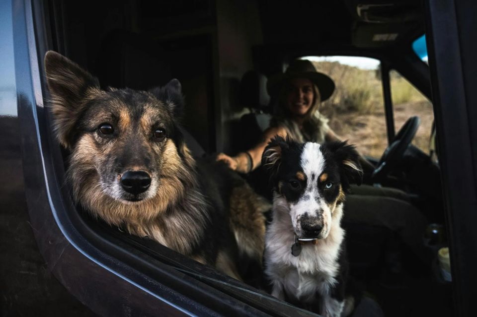 5-things-to-love-about-sprinter-vans-grid-YhANLhIAACsAzBu1.jpg