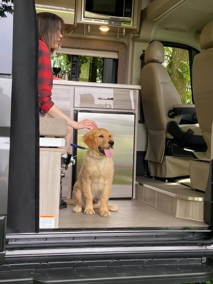 2022 Thor Scope Camper Van lifestyle shoot dogs pet dog photo puppy photo
