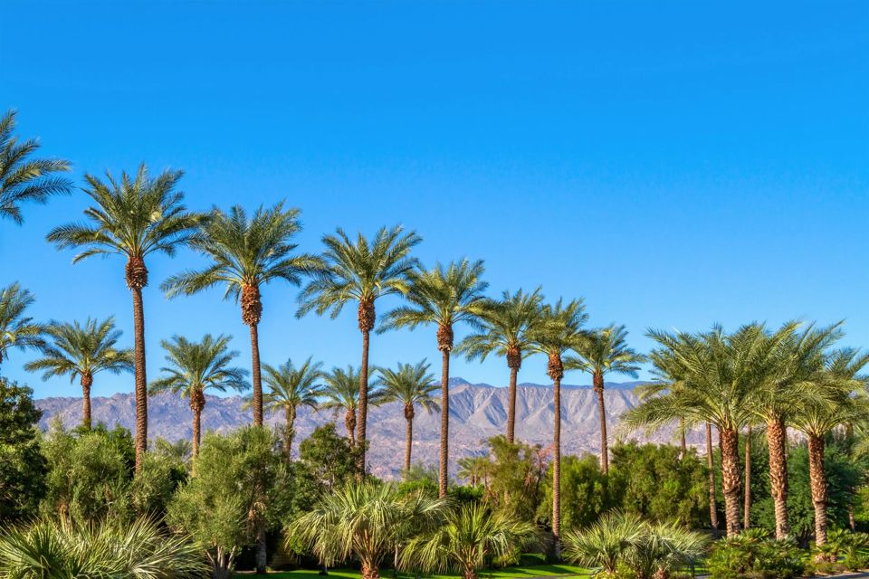 six-spring-vacation-destinations-you-need-to-visit-grid-ZB3vIREAACQAj1VT.jpeg