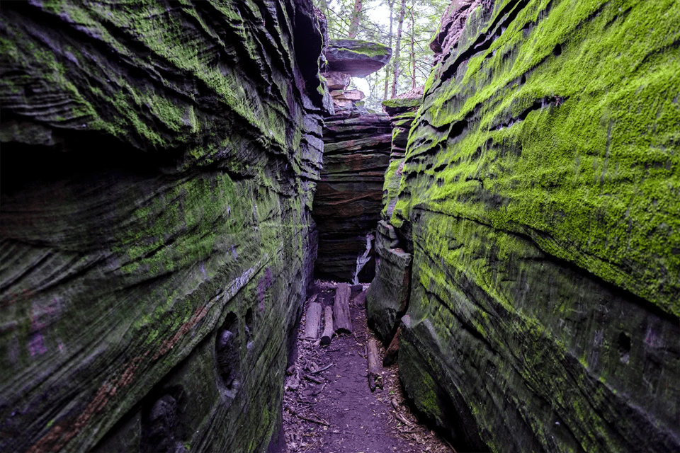 dog-friendly-national-parks-grid-Yv1J1xAAACMAF9om.png