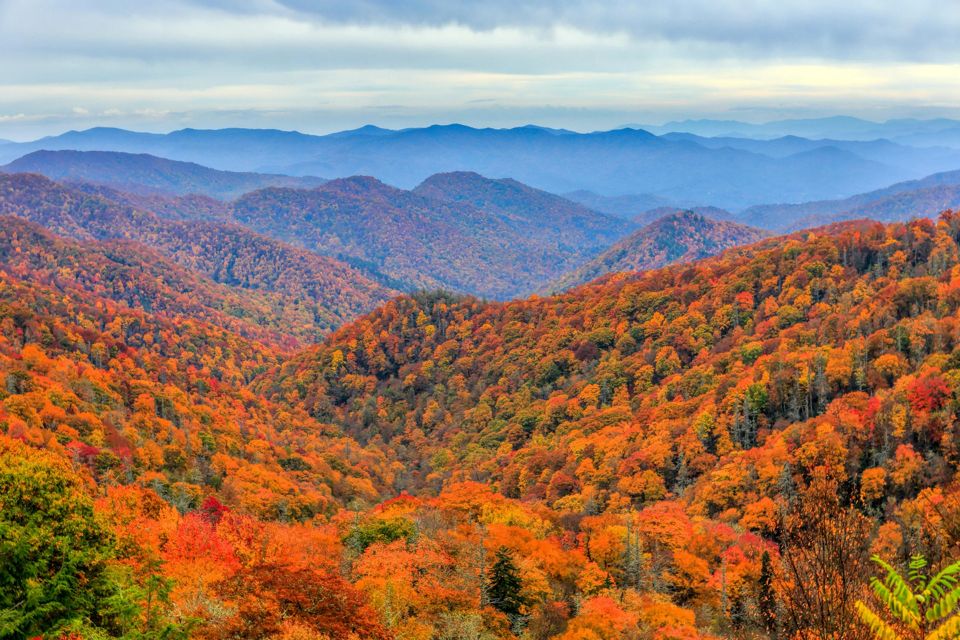 great-smoky-mountains-national-park-grid-aXDg8QIvOtkhBxpf.jpeg