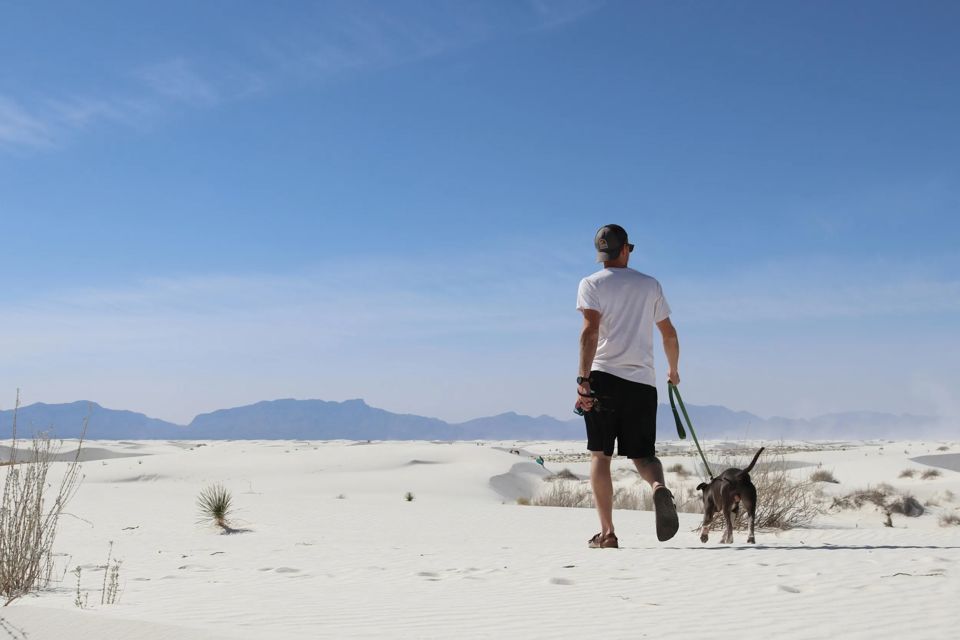 dog-friendly-national-parks-grid-Yv1KoxAAACQAF922.jpeg