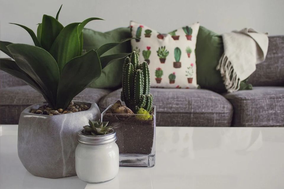 motorhome-decorating-tips-grid-YhVIMRIAACgA41Sh.jpg