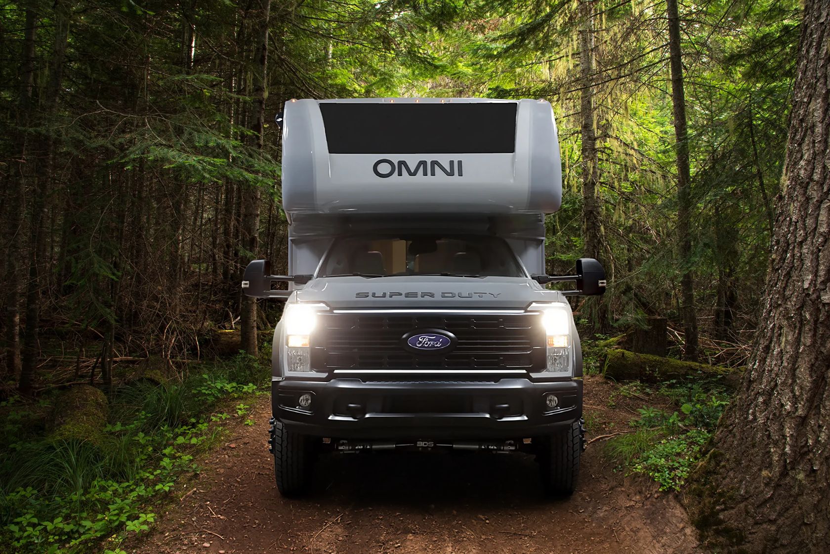 Remote, unpaved, winding country road in the dense forest.